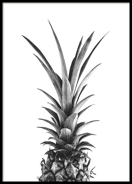 Pineapple B&W Plakat i gruppen Plakater / Svarthvitt hos Desenio AB (10658)