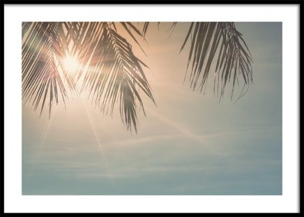 Sunset Palm Leaves Plakat i gruppen Plakater / Naturmotiv hos Desenio AB (10882)