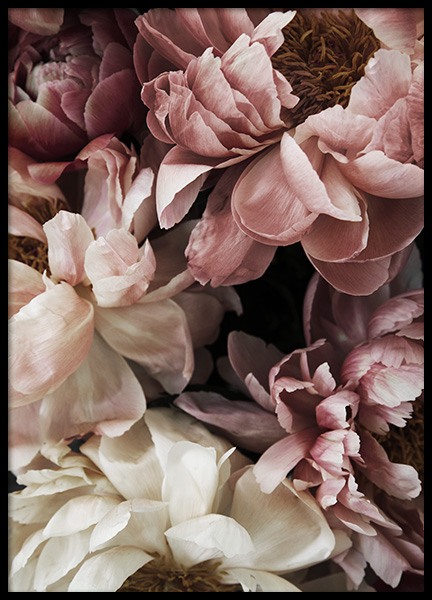 Flower Wall Plakat i gruppen Plakater / Fotokunst hos Desenio AB (10990)