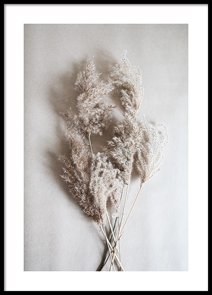 Bouquet of Autumn Reeds Plakat i gruppen Plakater / Fotokunst hos Desenio AB (11798)