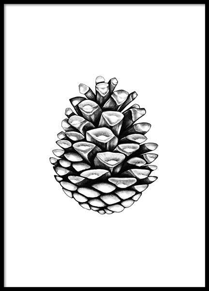 Pinecone Plakat i gruppen Plakater / Svarthvitt hos Desenio AB (2274)