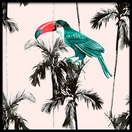 Tropical Toucan Plakat i gruppen Plakater / Botaniske hos Desenio AB (2391)