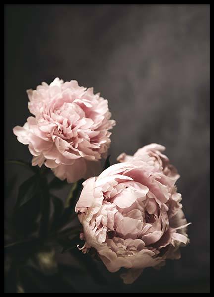 There's Beauty Plakat i gruppen Plakater / Fotokunst hos Desenio AB (2788)