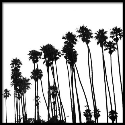 Venice Beach Palm Trees No1 Plakat i gruppen Plakater / Svarthvitt hos Desenio AB (3776)