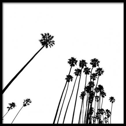 Venice Beach Palm Trees No2 Plakat i gruppen Plakater / Svarthvitt hos Desenio AB (3777)