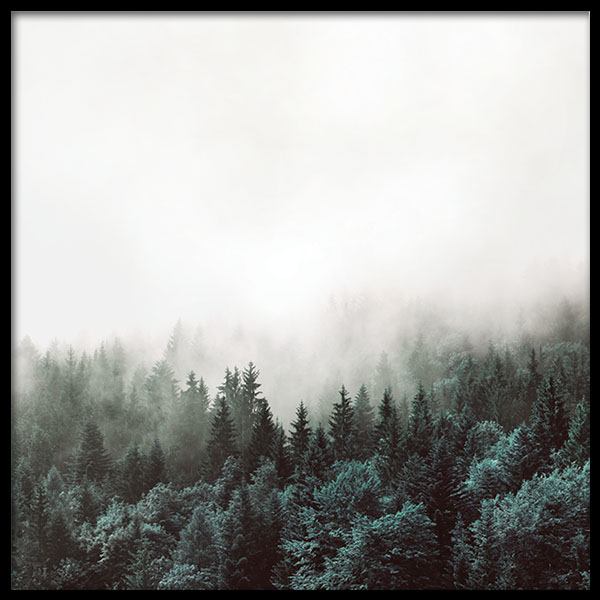 Tree Tops, Plakat i gruppen Plakater / Naturmotiv hos Desenio AB (8587)