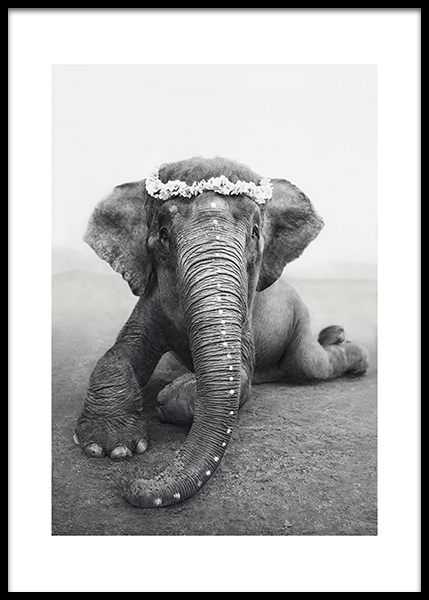 Love Warriors Sweetest Adele Plakat i gruppen Plakater hos Desenio AB (Pre5619)