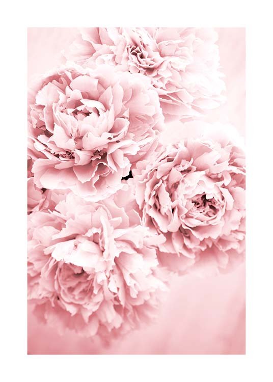 Pink Dream Plakat / Fotokunst hos Desenio AB (10054)