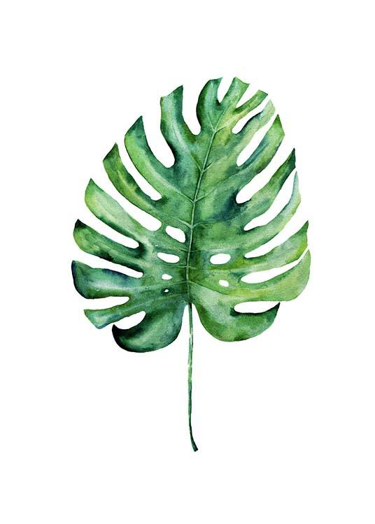Monstera Aquarell One Plakat