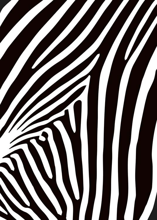Zebra Stripes Plakat / Svarthvitt hos Desenio AB (10154)