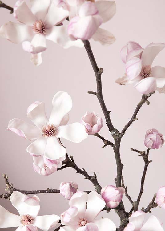 Pink Spring Flower Plakat / Fotokunst hos Desenio AB (10213)