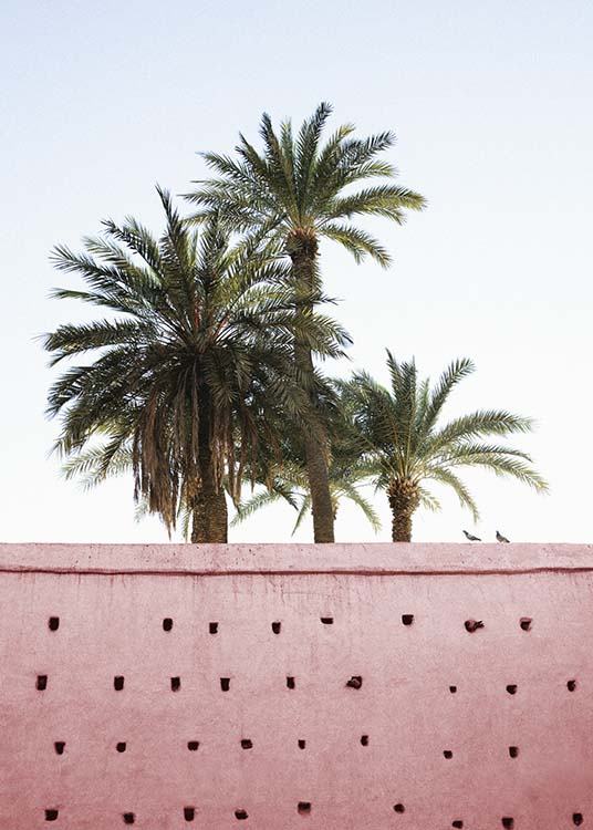 Pink Palms Plakat / Fotokunst hos Desenio AB (10270)
