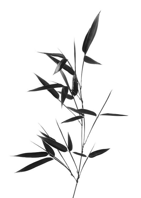 Bamboo Twig Plakat / Svarthvitt hos Desenio AB (10390)