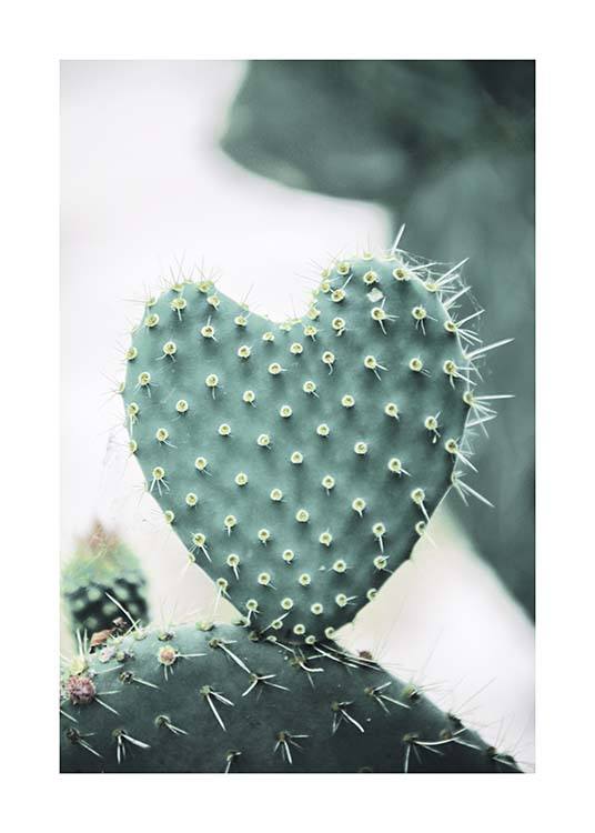 Heart Cactus Plakat / Fotokunst hos Desenio AB (10431)
