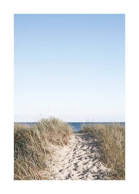 Path on beach Plakat / Naturmotiv hos Desenio AB (10477)