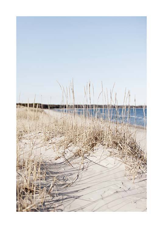 Grass by Sea Plakat / Naturmotiv hos Desenio AB (10478)