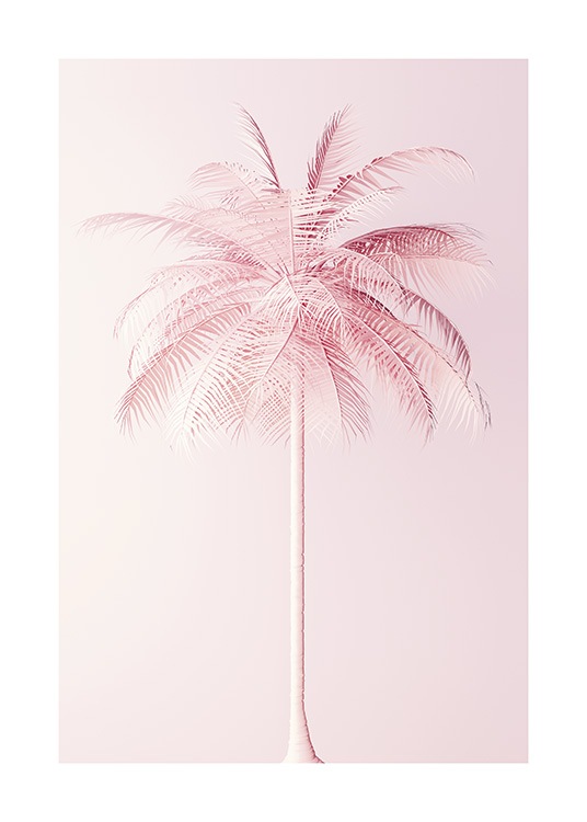 Pastel Pink Palm Plakat / Botaniske hos Desenio AB (10635)
