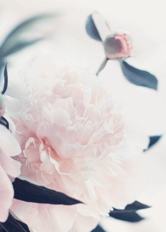 – Plakat med lyse blomster