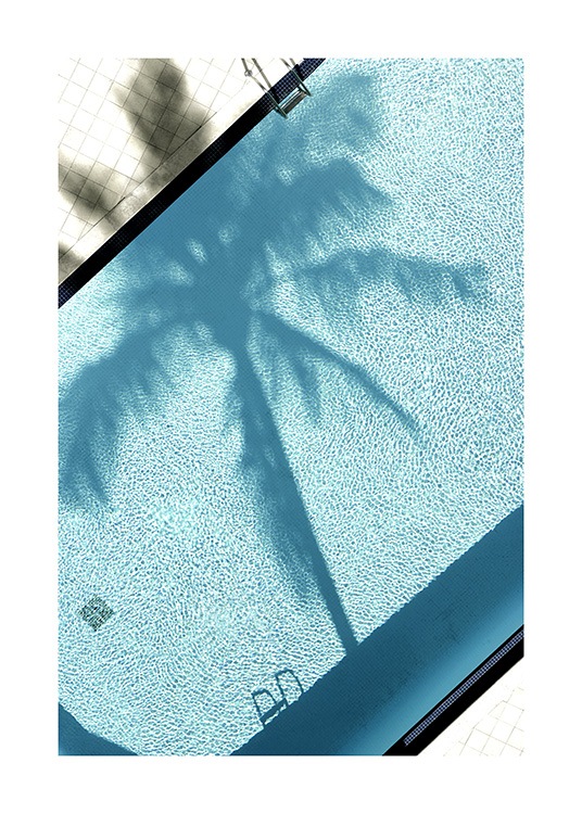 Pool and Palm Tree Plakat / Fotokunst hos Desenio AB (10668)