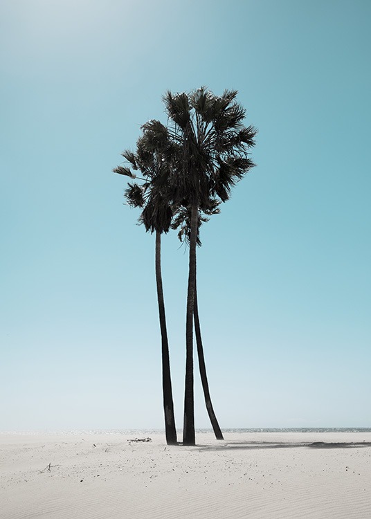 LA Beach Palms Plakat / Tropisk hos Desenio AB (10784)