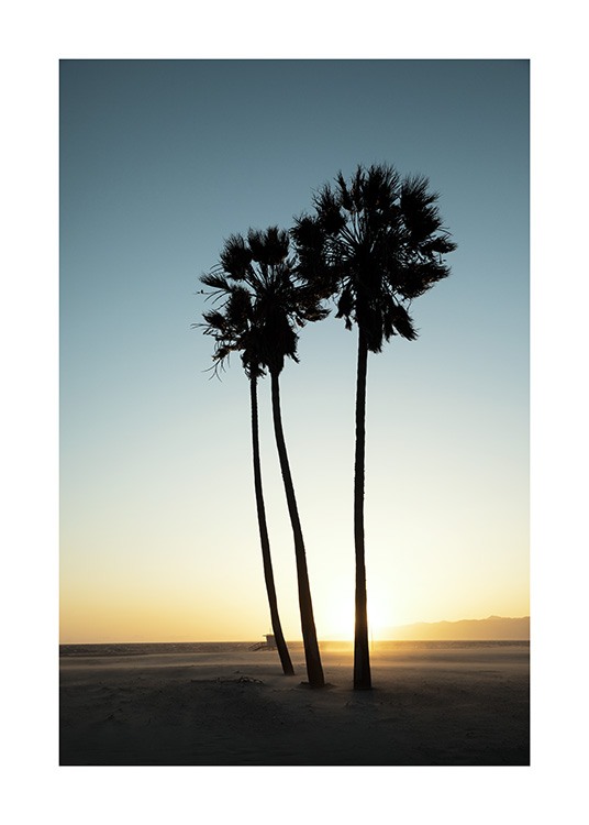 Los Angeles Sunset Plakat / Tropisk hos Desenio AB (10786)