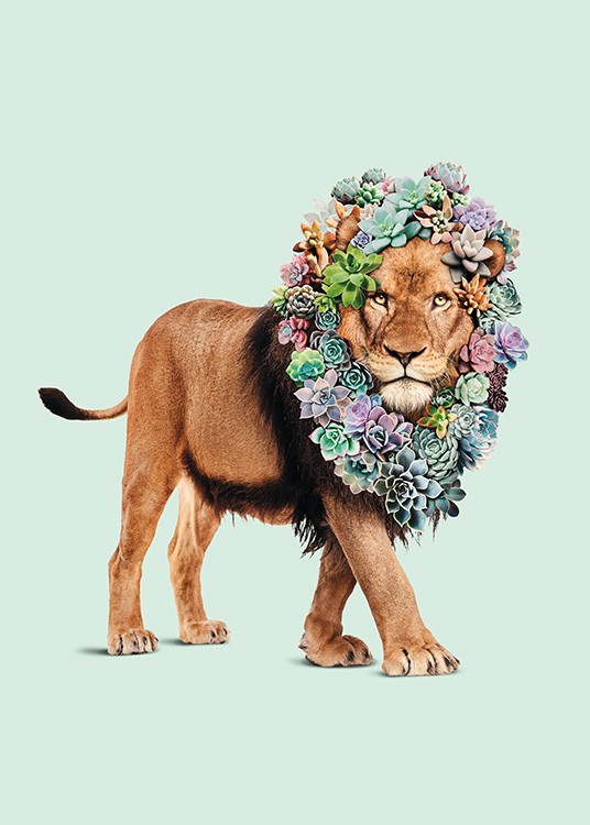 Succulent Lion Plakat / Barneplakater hos Desenio AB (11021)