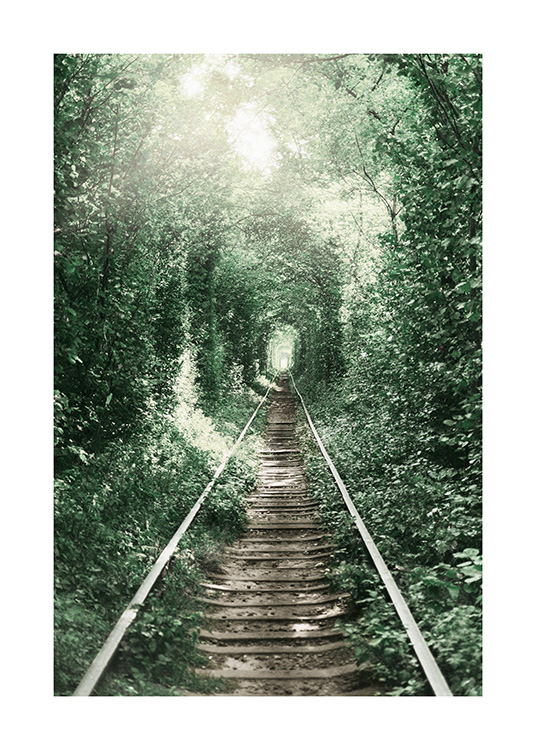 Forest Tunnel Plakat / Naturmotiv hos Desenio AB (11265)