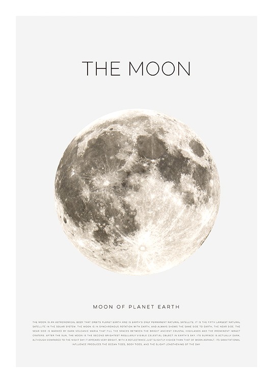 The Moon Plakat / Plakater hos Desenio AB (11441)