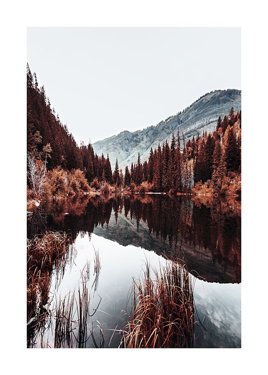 – Plakat av en innsjø med fjell og trær på en kald dag