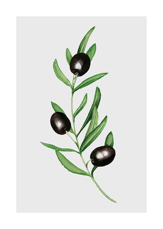 Olives Plakat / Kjøkkenplakater hos Desenio AB (11960)