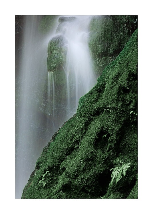 Waterfall in Forest Plakat / Naturmotiv hos Desenio AB (12080)