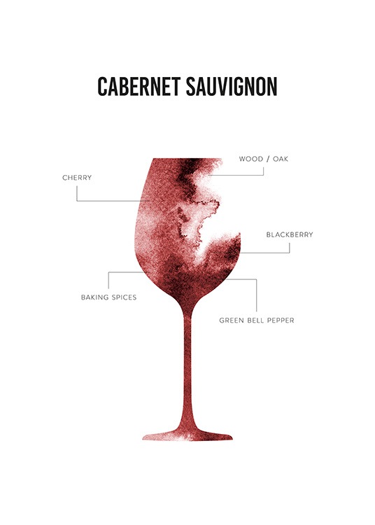 Cabernet Sauvignon Anatomy Plakat
