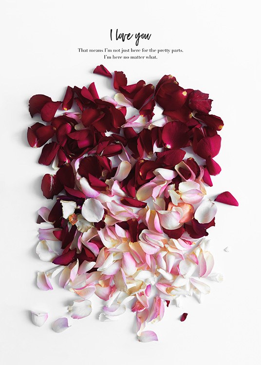 Rose Petals Plakat / Kunstmotiv hos Desenio AB (12144)