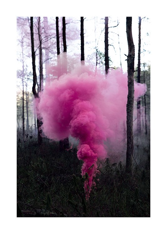 Pink Forest Plakat / 50x70 cm hos Desenio AB (12175)