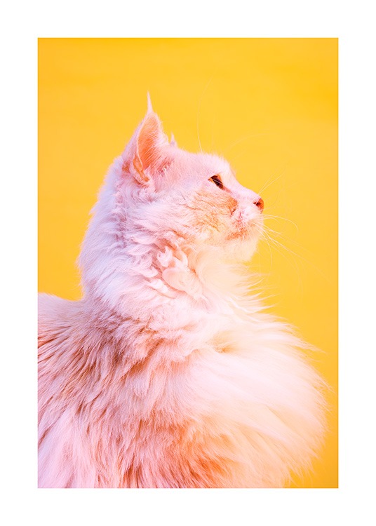 Pink Cat Plakat
