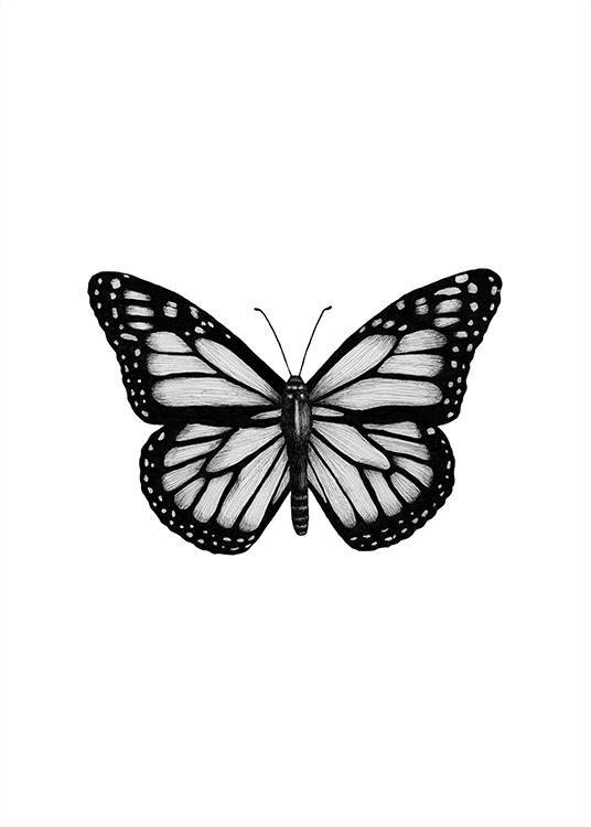 Butterfly Drawing Plakat / Svarthvitt hos Desenio AB (12307)