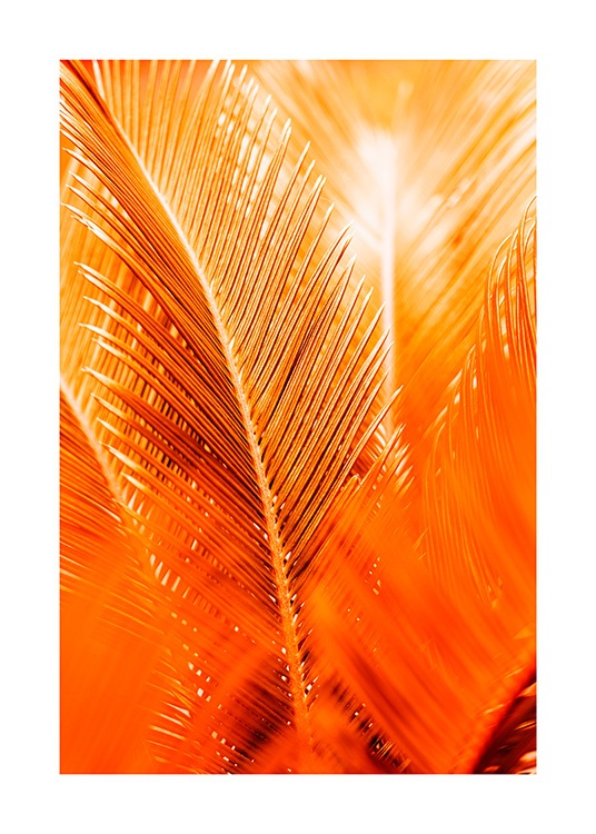 Orange and Gold Palm Plakat / Botaniske hos Desenio AB (12403)