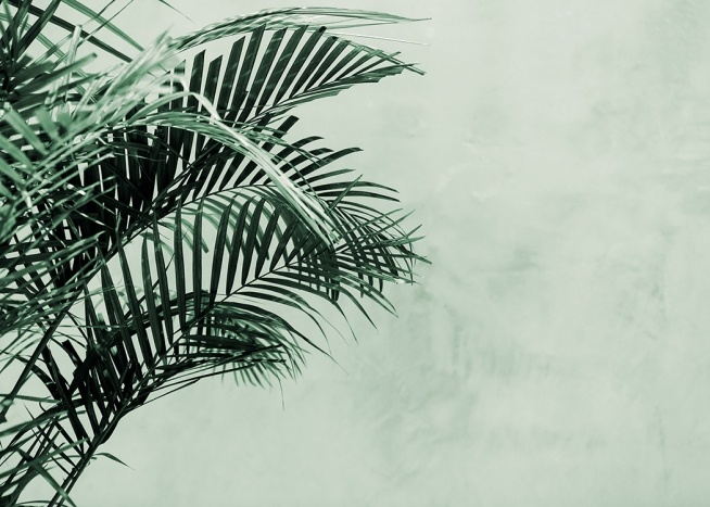 Palm Tree Wall Plakat / Botaniske hos Desenio AB (12412)