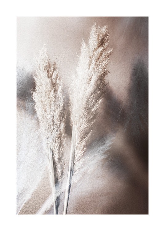 – Fotografi av beige pampasgress mot brun bakgrunn