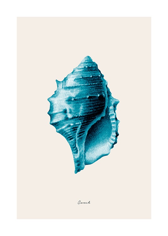 Blue Conch Plakat / Illustrasjoner hos Desenio AB (12428)