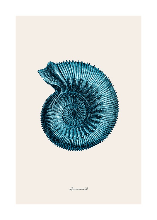 Blue Ammonit Plakat / Naturmotiv hos Desenio AB (12429)