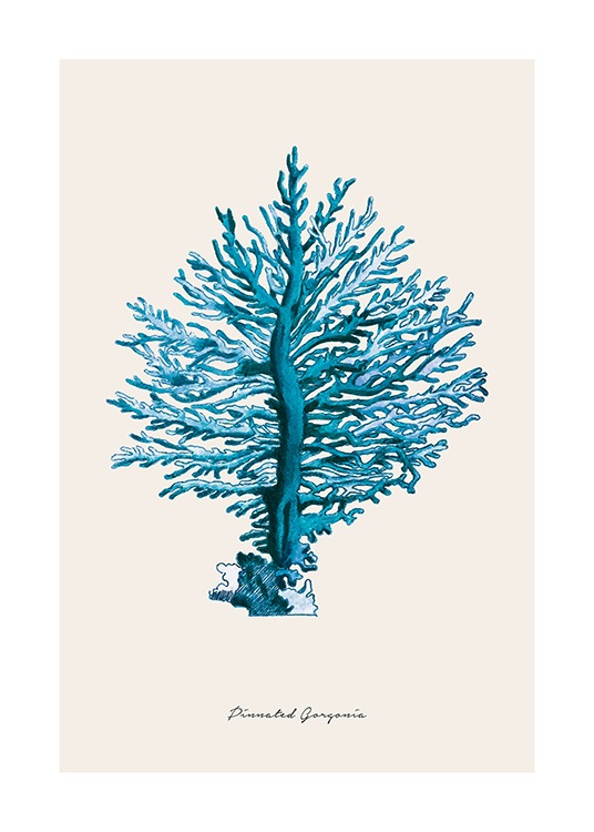 Blue Pinnated Gorgonia Plakat / Naturmotiv hos Desenio AB (12430)