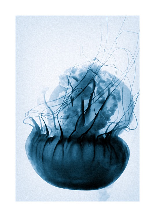 Floating Blue Jellyfish Plakat / Fotokunst hos Desenio AB (12434)