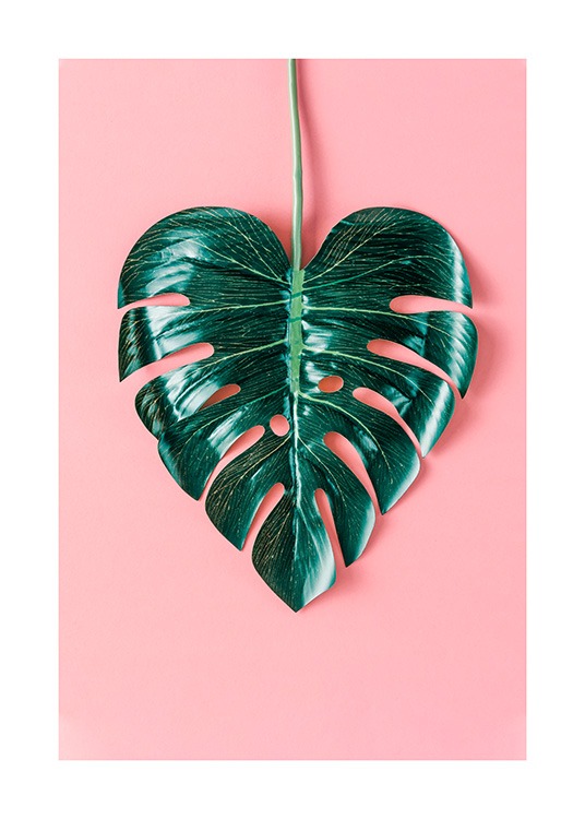 Heart-Shaped Monstera Plakat