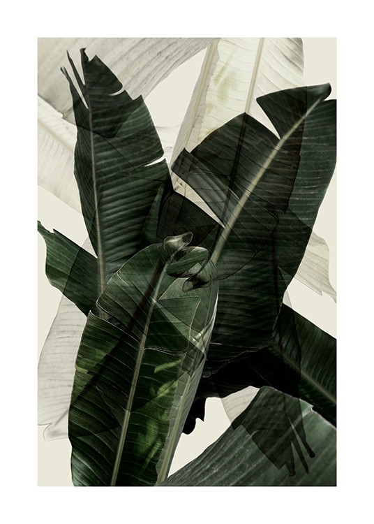 Banana Leaf Shades No2 Plakat / Fotokunst hos Desenio AB (12586)