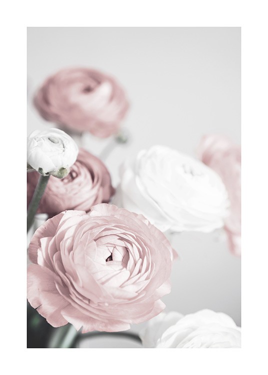 Lovely Roses Plakat / Fotokunst hos Desenio AB (12654)