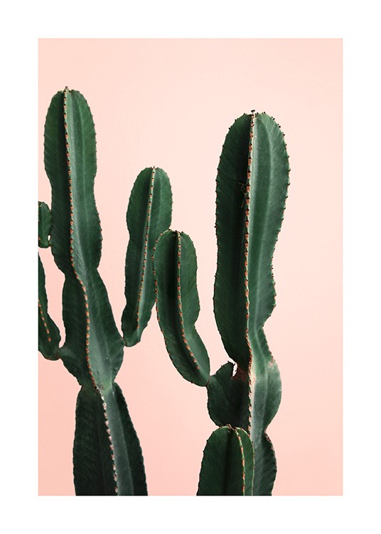 Cactus Twins Plakat