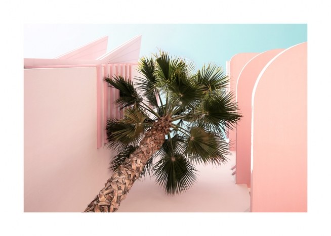 Palm from Beneath Plakat