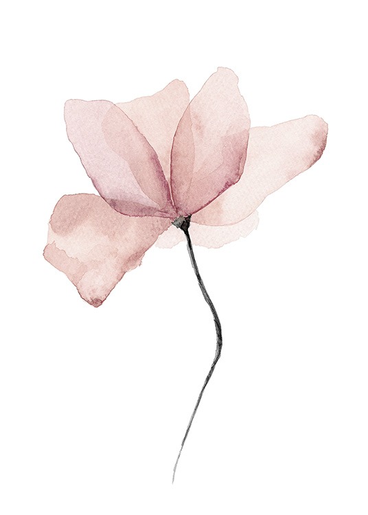  – Akvarell av en rosa blomst mot hvit bakgrunn