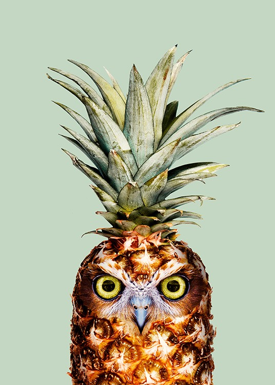 Pineapple Owl Plakat / Fotokunst hos Desenio AB (12941)